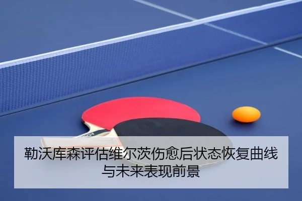 勒沃库森评估维尔茨伤愈后状态恢复曲线与未来表现前景
