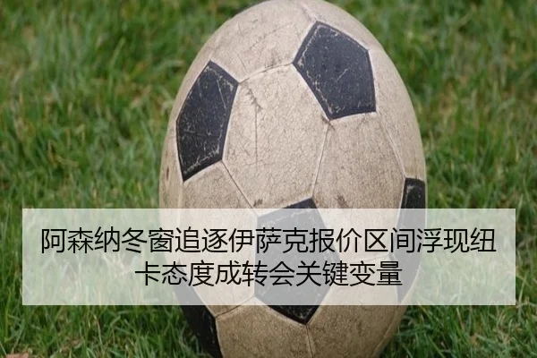 阿森纳冬窗追逐伊萨克报价区间浮现纽卡态度成转会关键变量