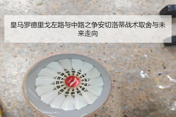 皇马罗德里戈左路与中路之争安切洛蒂战术取舍与未来走向